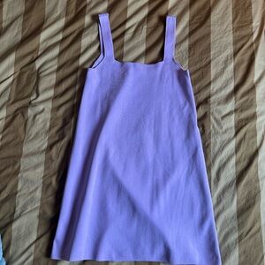 Zara Like New Lilac Purple Knit Shift Dress